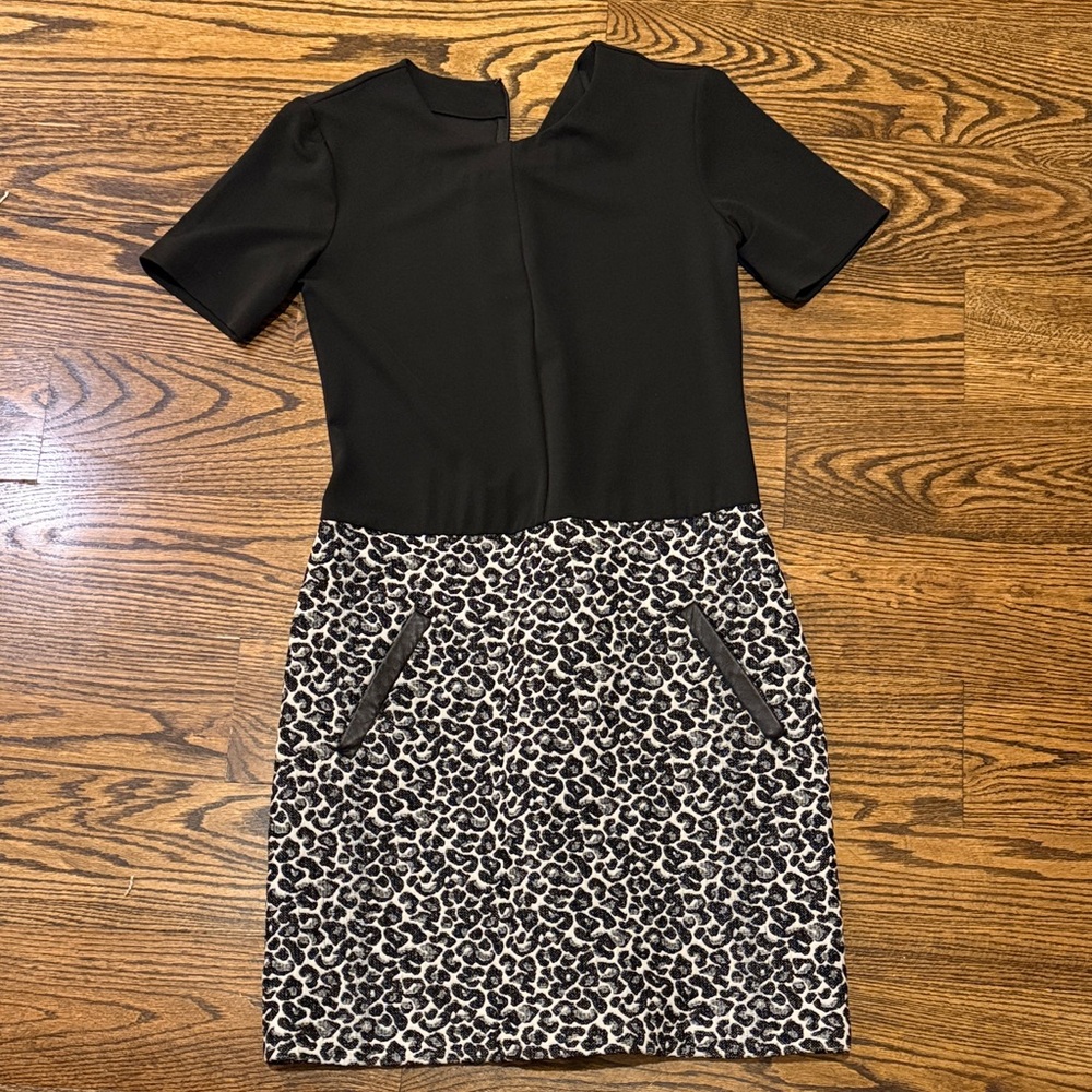 Dolce Vita Black and Leopard Mini Dress